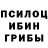 Галлюциногенные грибы прущие грибы roisto101