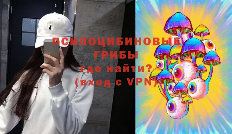 купить закладку  Таганрог  площадка как зайти  Псилоцибиновые грибы Magic Shrooms 